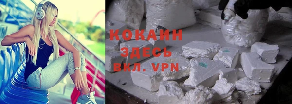 шишки Балабаново