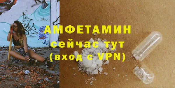 шишки Балабаново