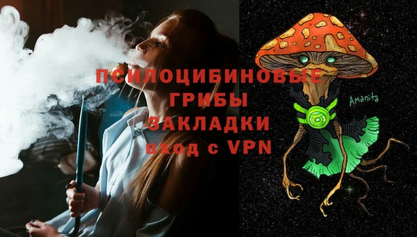 гашик Балахна
