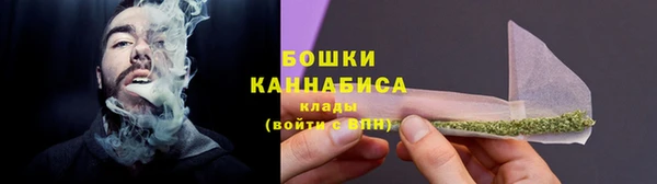 шишки Балабаново