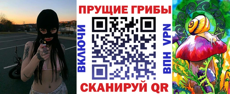 Галлюциногенные грибы Psilocybine cubensis  KRAKEN сайт  Бирюч 